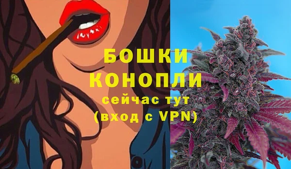 гидра Армянск