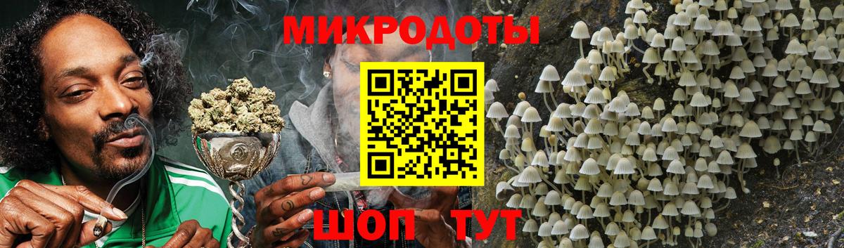 Галлюциногенные грибы мухоморы Балтийск