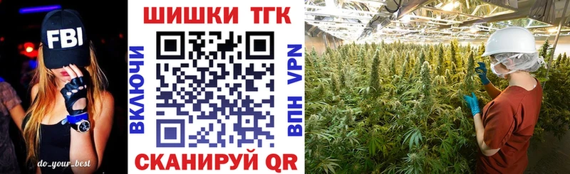Конопля план  Балтийск 